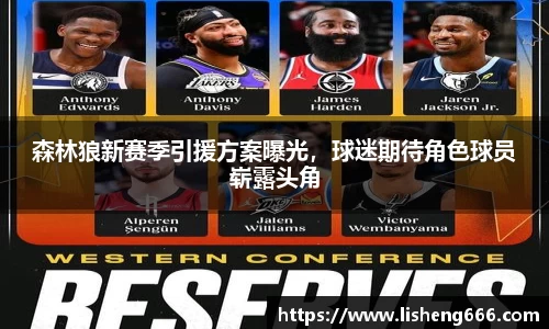 森林狼新赛季引援方案曝光，球迷期待角色球员崭露头角