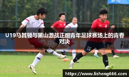U19马其顿与黑山激战正酣青年足球赛场上的青春对决