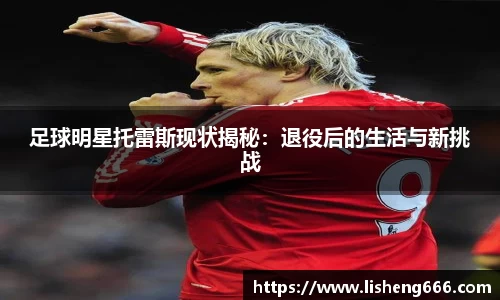 足球明星托雷斯现状揭秘：退役后的生活与新挑战